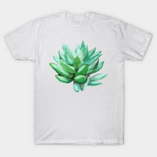 succulent echeveria T-Shirt